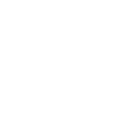 Nestin instagram logo
