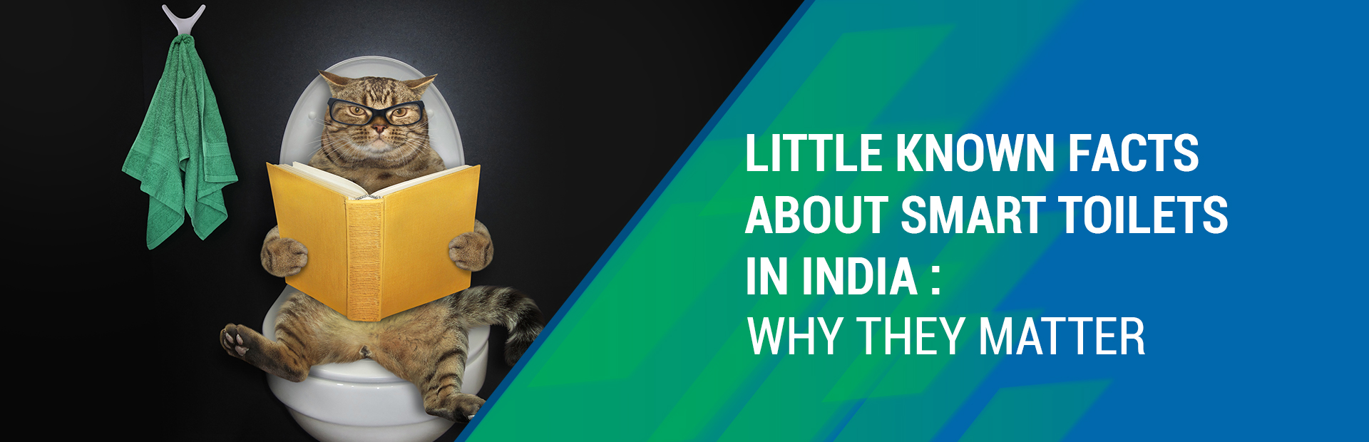 Little Known Facts About Smart Toilets in India Tata Steel NestIn